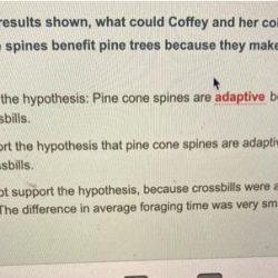 Yellow linnaeus carl called npr ourselves if asians physician swedish coined botanist term who luridus pale describe homo asiaticus well