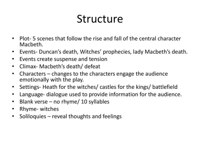 Macbeth organizer analysis graphic plot