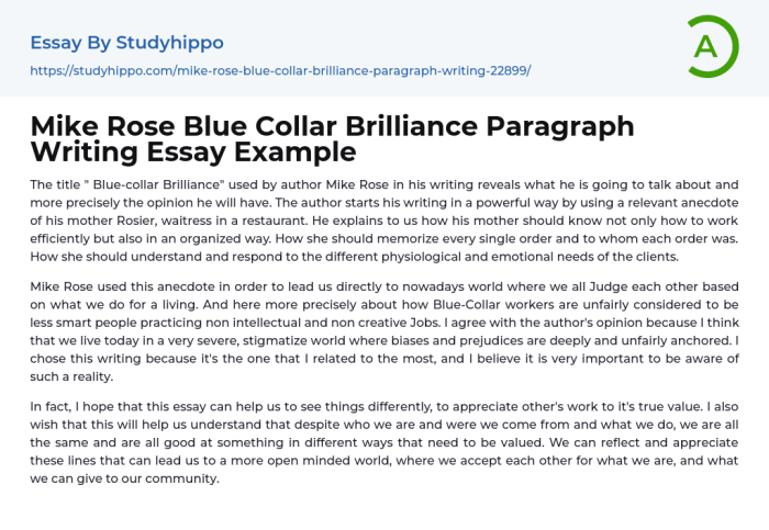 Blue collar brilliance mike rose