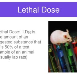 Lethal dose toxicity worksheet answers