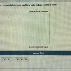 Arrange the organic compounds from most soluble in water